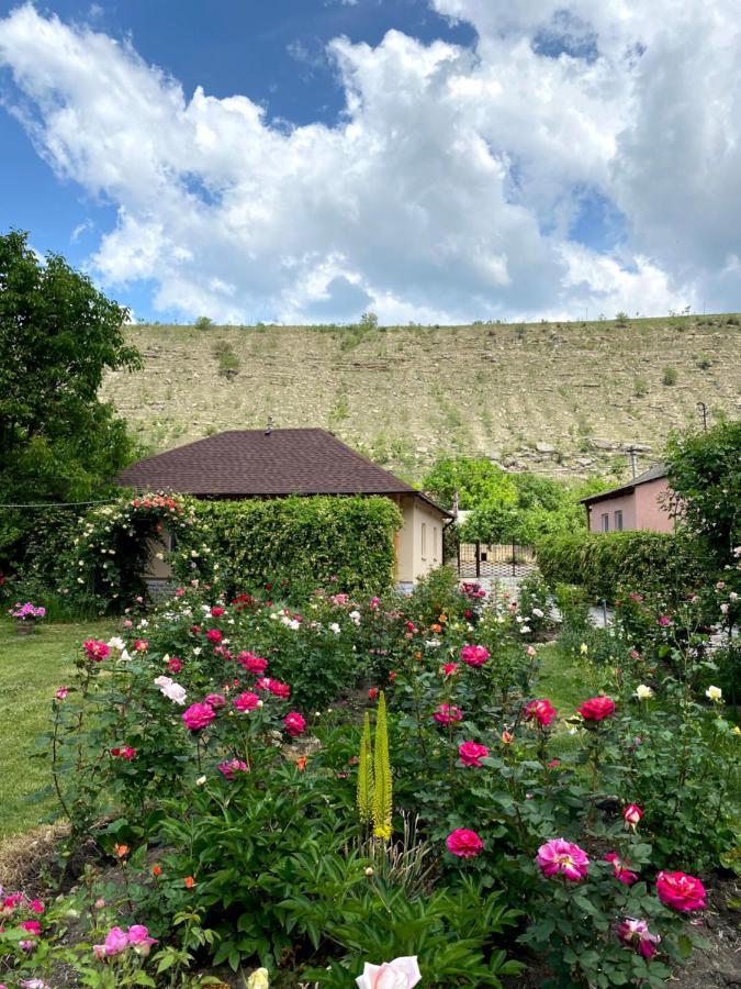 Vila Roz Hotel Trebujeni Exterior foto